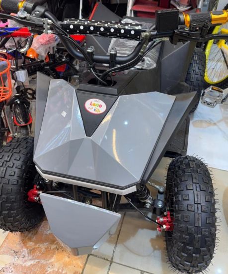 صورة سكوتر الأطفال الرباعي الكهربائي وحش الطرقات 48 فولت